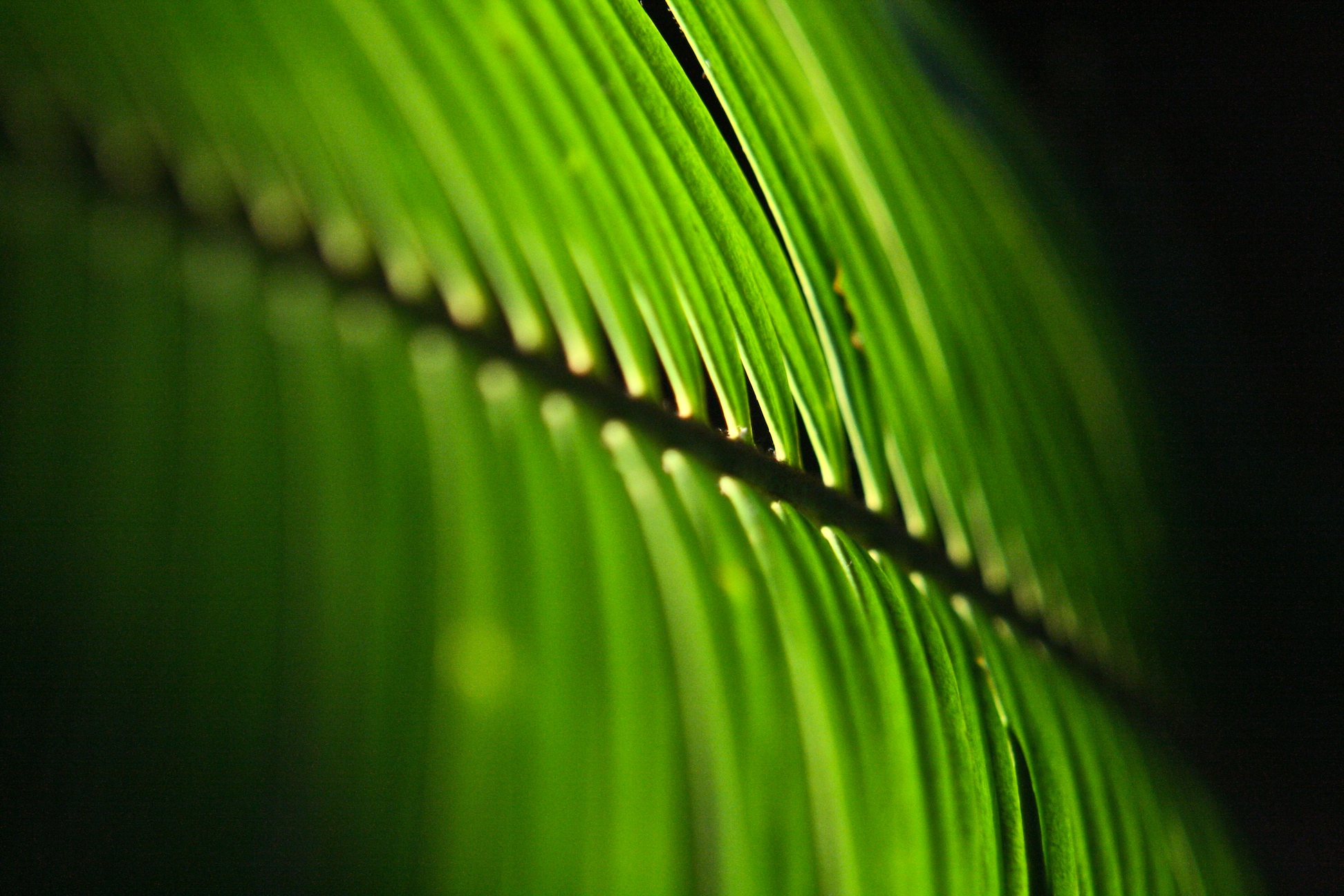 scope-3-calculation-guidance-ghg-protocol